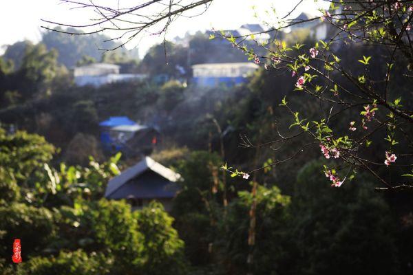 文成山区“工坊”接到“世界超市”大订单